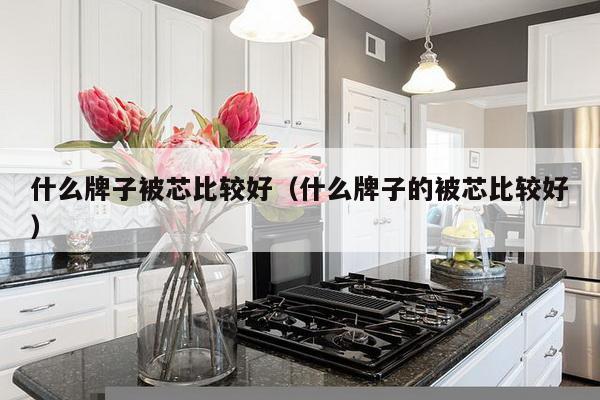 什么牌子被芯比较好（什么牌子的被芯比较好）-第1张图片