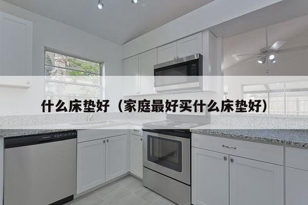 什么床垫好（家庭最好买什么床垫好）-第1张图片