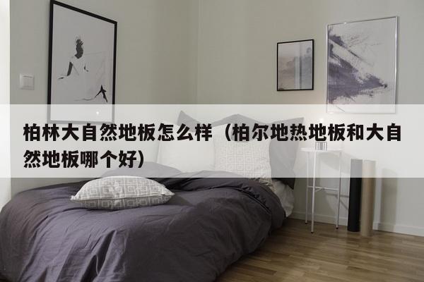柏林大自然地板怎么样（柏尔地热地板和大自然地板哪个好）-第1张图片