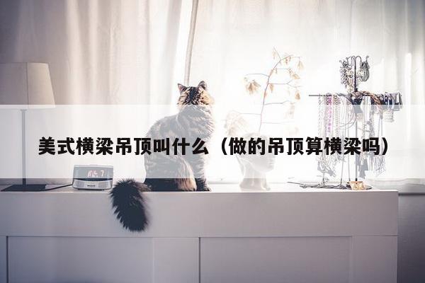 美式横梁吊顶叫什么（做的吊顶算横梁吗）-第1张图片