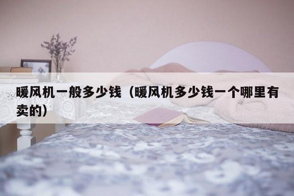 暖风机一般多少钱（暖风机多少钱一个哪里有卖的）-第1张图片