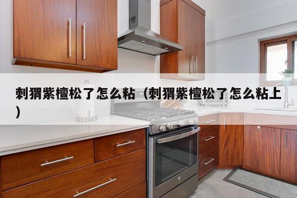 刺猬紫檀松了怎么粘（刺猬紫檀松了怎么粘上）-第1张图片