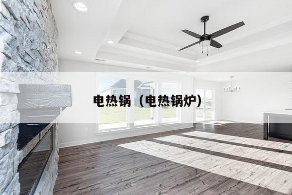 电热锅（电热锅炉）-第1张图片