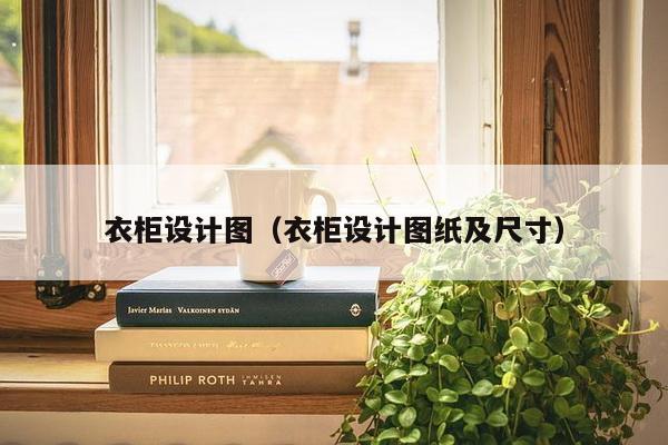 衣柜设计图（衣柜设计图纸及尺寸）-第1张图片