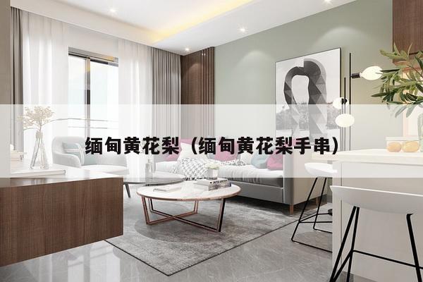 缅甸黄花梨(缅甸黄花梨手串)-第1张图片 缅甸黄花梨(缅甸黄花梨手串)-第1张图片