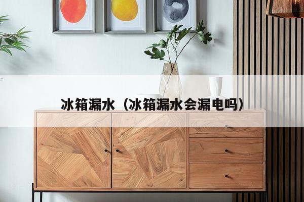 冰箱漏水（冰箱漏水会漏电吗）-第1张图片