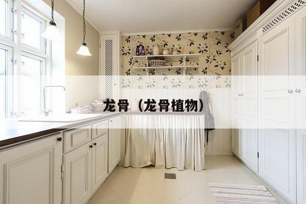 龙骨（龙骨植物）-第1张图片