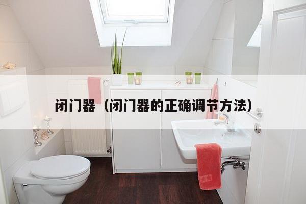 闭门器（闭门器的正确调节方法）-第1张图片