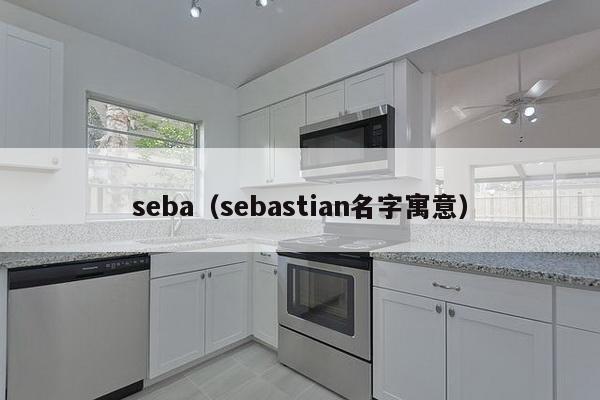 seba（sebastian名字寓意）-第1张图片