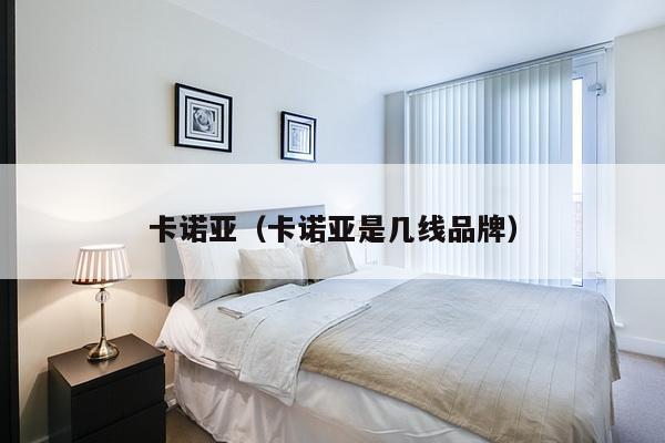 卡诺亚(卡诺亚是几线品牌)-第1张图片 卡诺亚(卡诺亚是几线品牌)-第1张图片