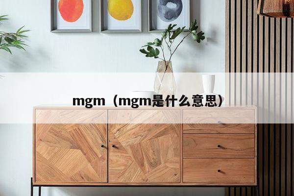 mgm（mgm是什么意思）-第1张图片