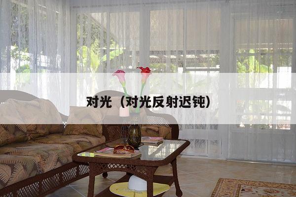 对光（对光反射迟钝）-第1张图片