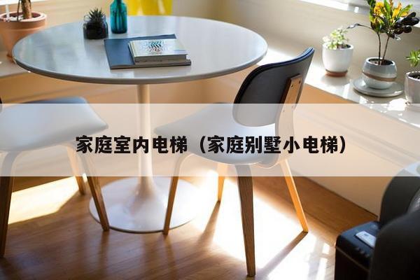 家庭室内电梯(家庭别墅小电梯)-第1张图片 家庭室内电梯(家庭别墅小电梯)-第1张图片