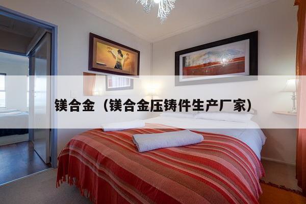 镁合金(镁合金压铸件生产厂家)-第1张图片 镁合金(镁合金压铸件生产厂家)-第1张图片