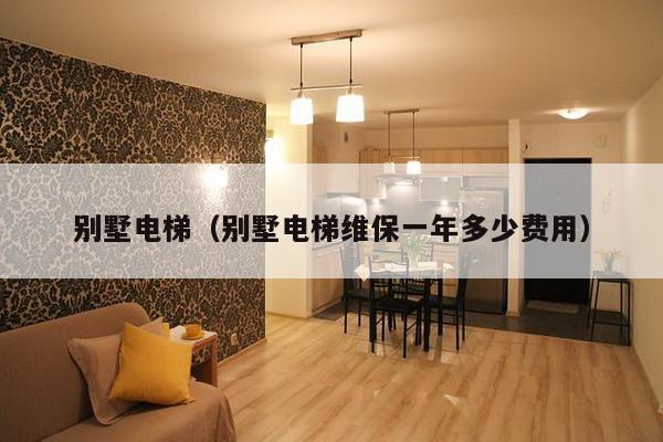 别墅电梯(别墅电梯维保一年多少费用)-第1张图片 别墅电梯(别墅电梯维保一年多少费用)-第1张图片