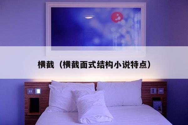 横截（横截面式结构小说特点）-第1张图片