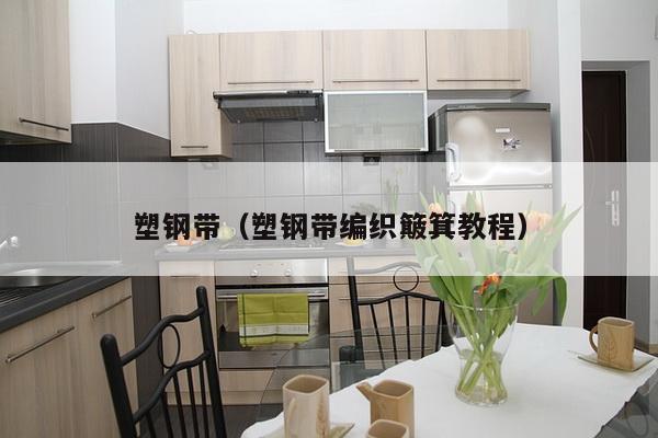 塑钢带(塑钢带编织簸箕教程)-第1张图片 塑钢带(塑钢带编织簸箕教程)-第1张图片