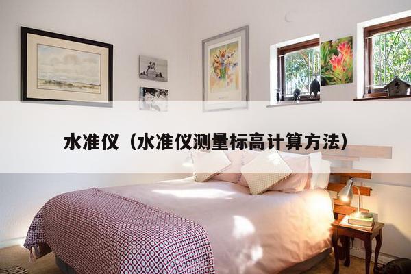 水准仪(水准仪测量标高计算方法)-第1张图片 水准仪(水准仪测量标高计算方法)-第1张图片