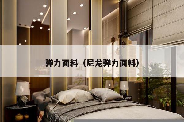 弹力面料(尼龙弹力面料)-第1张图片 弹力面料(尼龙弹力面料)-第1张图片