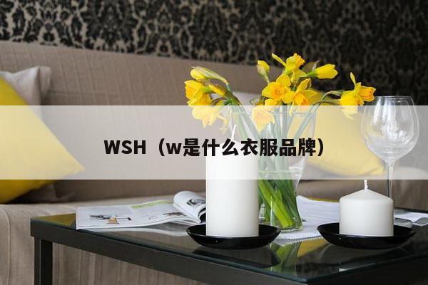 WSH(w是什么衣服品牌)-第1张图片 WSH(w是什么衣服品牌)-第1张图片
