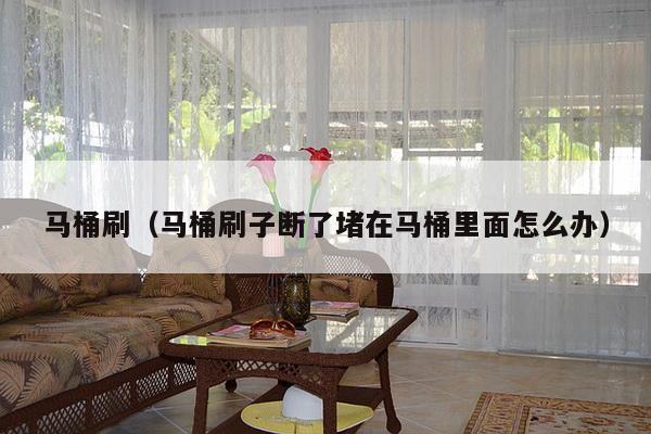 马桶刷（马桶刷子断了堵在马桶里面怎么办）-第1张图片