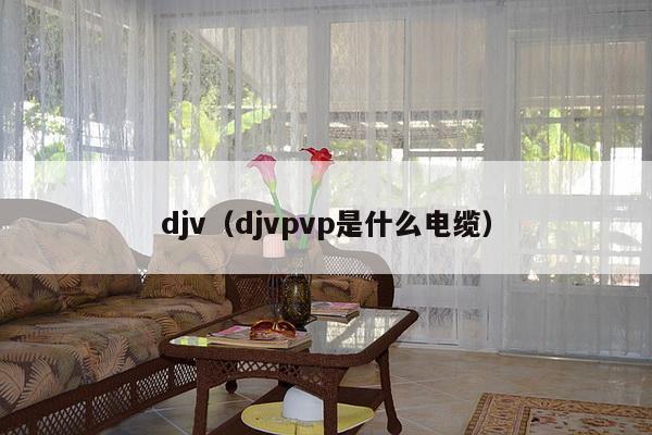 djv(djvpvp是什么电缆)-第1张图片 djv(djvpvp是什么电缆)-第1张图片