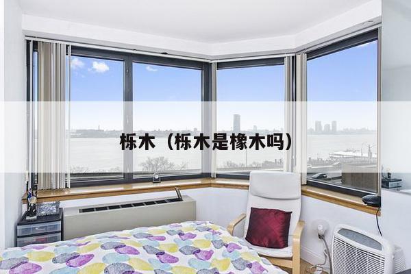 栎木（栎木是橡木吗）-第1张图片