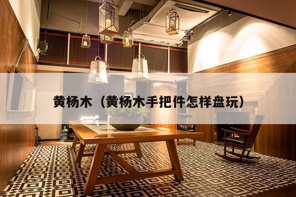 黄杨木(黄杨木手把件怎样盘玩)-第1张图片 黄杨木(黄杨木手把件怎样盘玩)-第1张图片