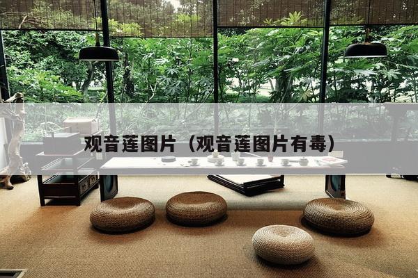 观音莲图片(观音莲图片有毒)-第1张图片 观音莲图片(观音莲图片有毒)-第1张图片