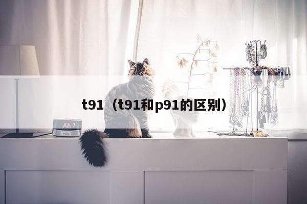 t91(t91和p91的区别)-第1张图片 t91(t91和p91的区别)-第1张图片