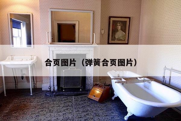 合页图片(弹簧合页图片)-第1张图片 合页图片(弹簧合页图片)-第1张图片