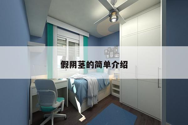 假阴茎的简单介绍-第1张图片 假阴茎的简单介绍-第1张图片