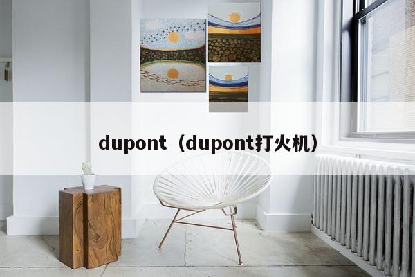 dupont(dupont打火机)-第1张图片 dupont(dupont打火机)-第1张图片