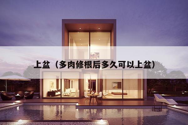 上盆(多肉修根后多久可以上盆)-第1张图片 上盆(多肉修根后多久可以上盆)-第1张图片