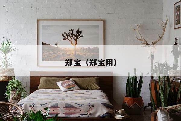 郑宝(郑宝用)-第1张图片 郑宝(郑宝用)-第1张图片