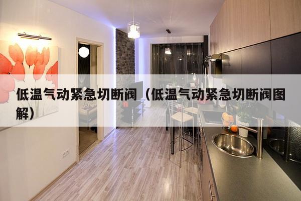 低温气动紧急切断阀(低温气动紧急切断阀图解)-第1张图片 低温气动紧急切断阀(低温气动紧急切断阀图解)-第1张图片