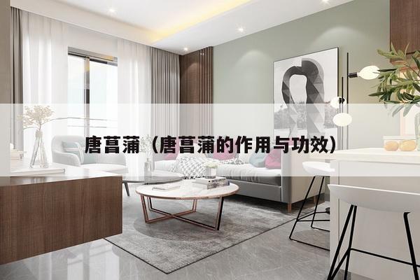 唐菖蒲(唐菖蒲的作用与功效)-第1张图片 唐菖蒲(唐菖蒲的作用与功效)-第1张图片