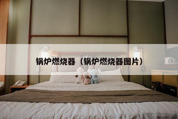 锅炉燃烧器(锅炉燃烧器图片)-第1张图片 锅炉燃烧器(锅炉燃烧器图片)-第1张图片