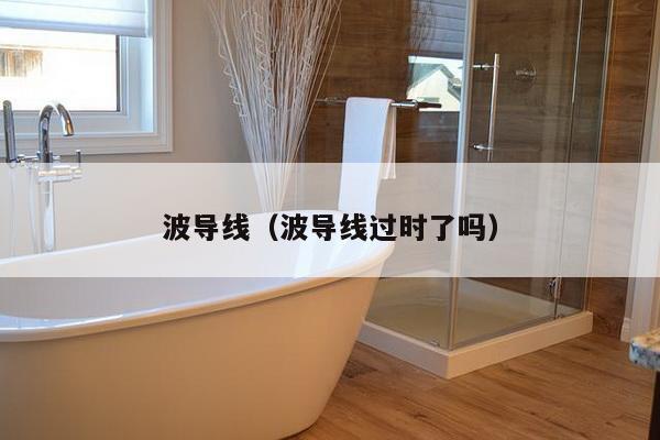 波导线(波导线过时了吗)-第1张图片 波导线(波导线过时了吗)-第1张图片