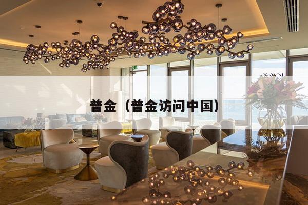 普金（普金访问中国）-第1张图片
