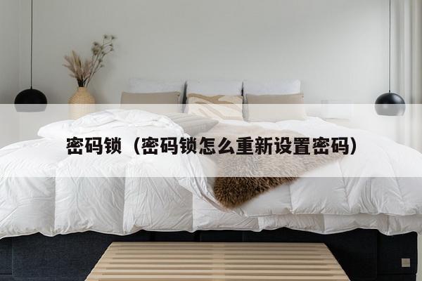 密码锁（密码锁怎么重新设置密码）-第1张图片