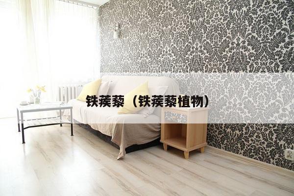 铁蒺藜（铁蒺藜植物）-第1张图片