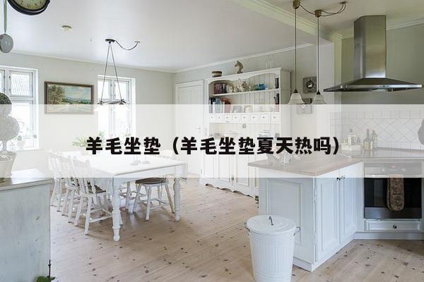 羊毛坐垫(羊毛坐垫夏天热吗)-第1张图片 羊毛坐垫(羊毛坐垫夏天热吗)-第1张图片