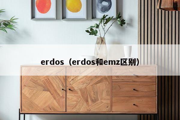 erdos(erdos和emz区别)-第1张图片 erdos(erdos和emz区别)-第1张图片
